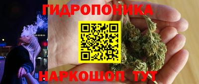 крисы Севастополь