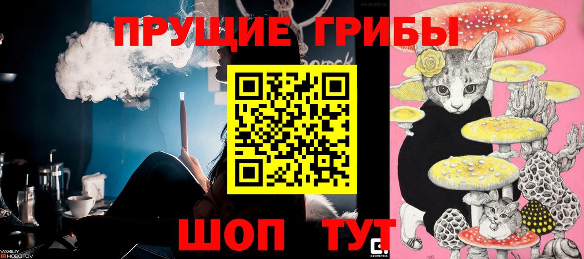 Галлюциногенные грибы прущие грибы Ртищево
